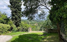 Belvedere